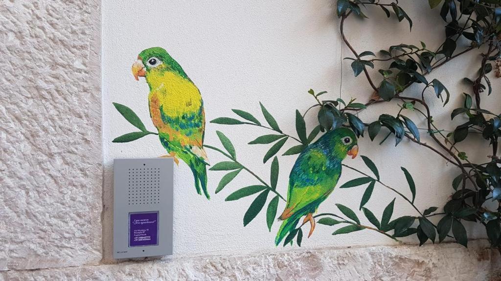 Iris Apartment, Comfort E Stile Nel Cuore Di Bisceglie Exteriér fotografie