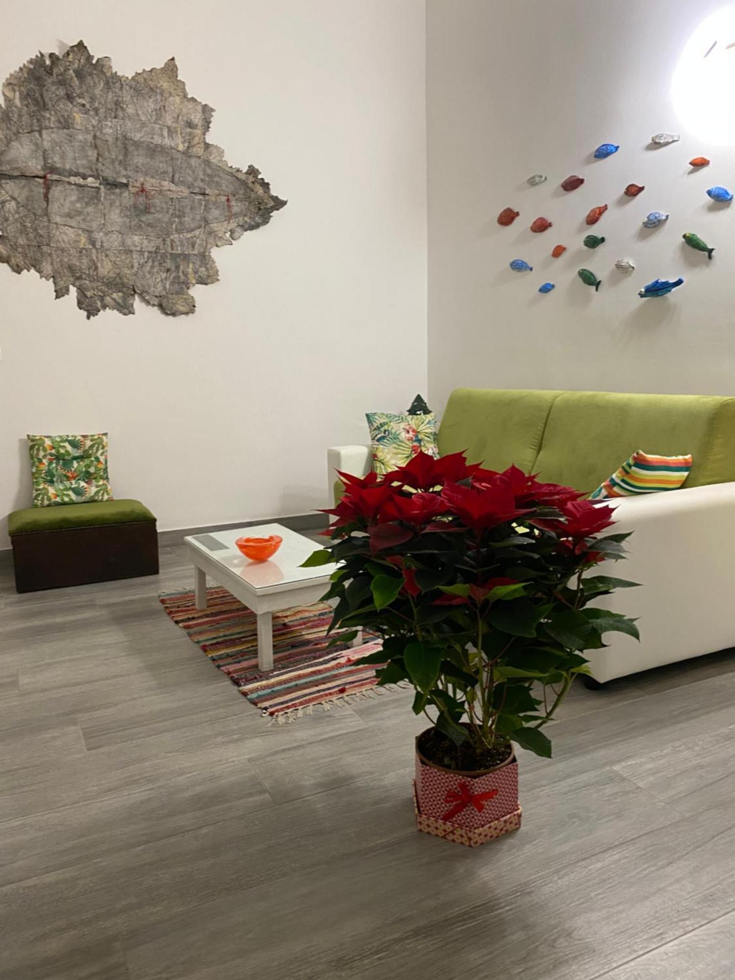 Iris Apartment, Comfort E Stile Nel Cuore Di Bisceglie Exteriér fotografie